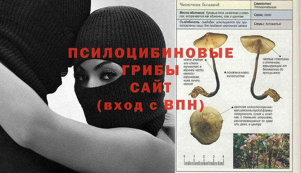 ALPHA-PVP Белокуриха