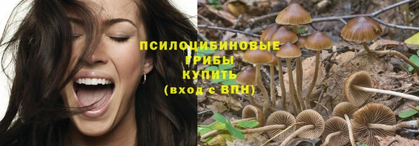 альфа пвп Беломорск